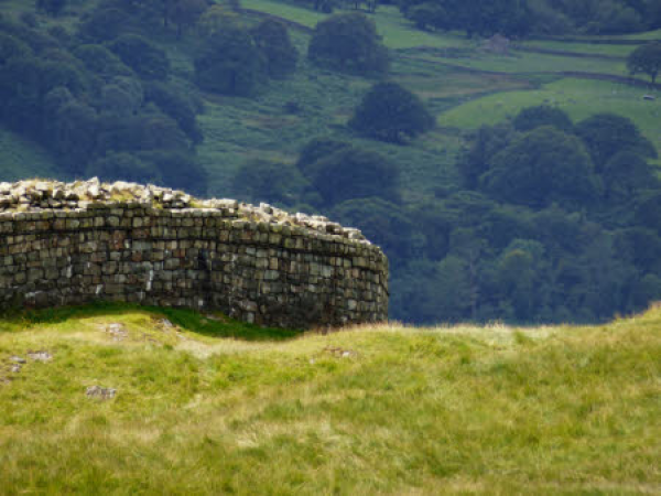 Guided walk: Drystone walls in Wasdale - A generational struggle to tame a wild landscape