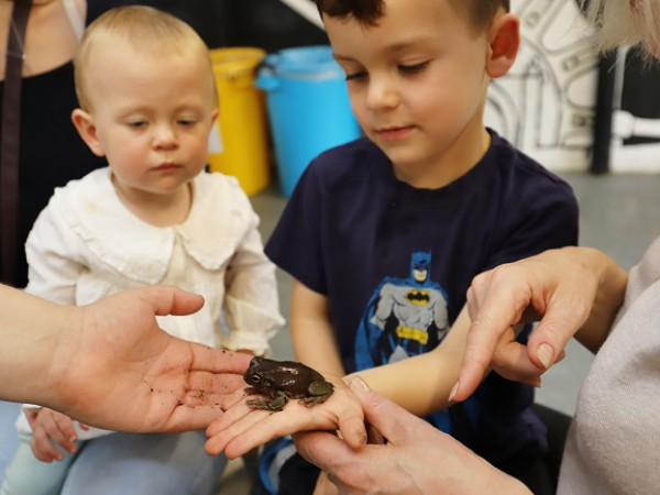 ZooLab: Ethical Animal Encounters at Anglesey Abbey