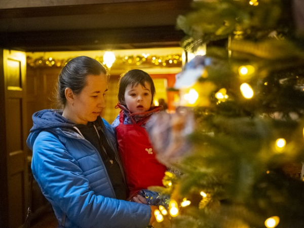 Relaxed Hour in the house