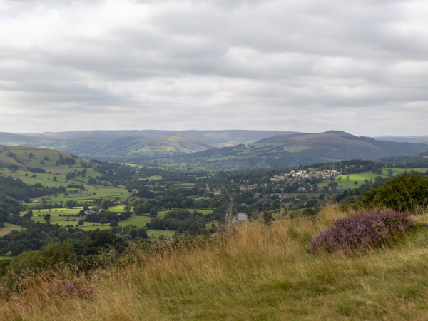 Free Wednesday Social Walks