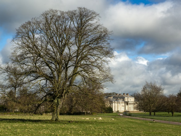 Find Out: Wood Pasture Walks