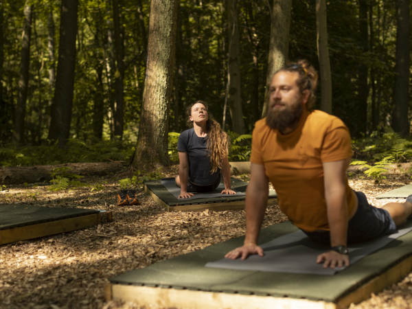 Yoga at Hatfield Forest