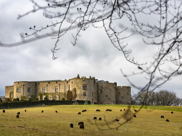 Dear Future: I Leave This Place For You - 11 June - Chirk Castle