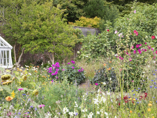 Cut flower workshop at Greenway