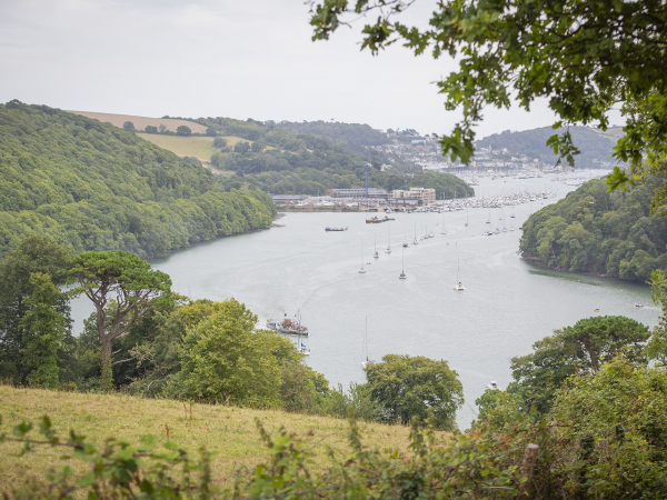Midsummer at Greenway: An Evening with the Head Gardener