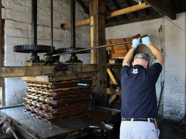 Orchard Month: Guided walk and apple pressing demonstration
