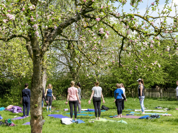 Yoga at Leith Hill Place