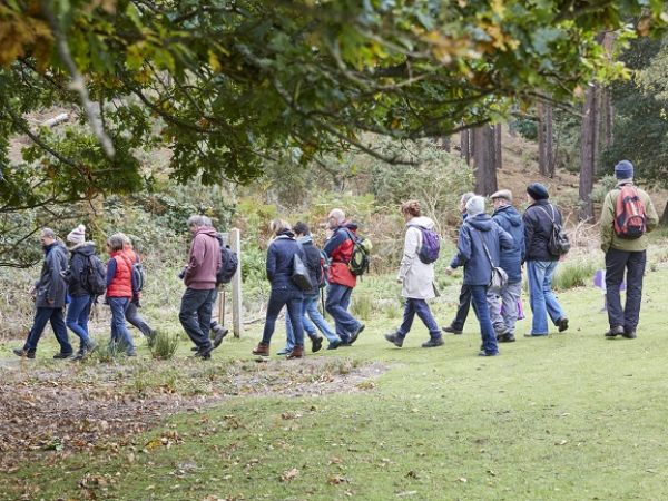 Oak Group Walk