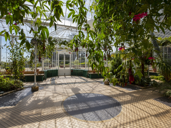 Summer hanging basket workshop