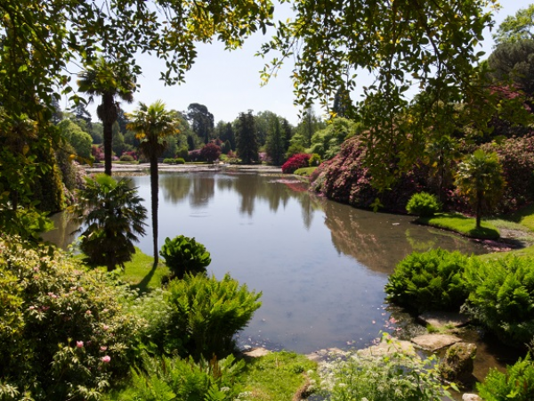Spring Photography Workshop: Focusing on Composition - Sheffield Park and Garden