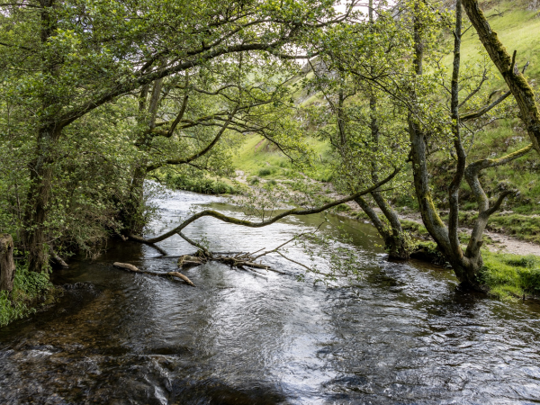 Ilam Park: Guided Walk: Folktales of the White Peak