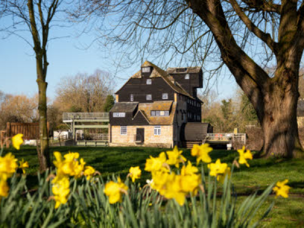 Easter egg hunt at Houghton Mill