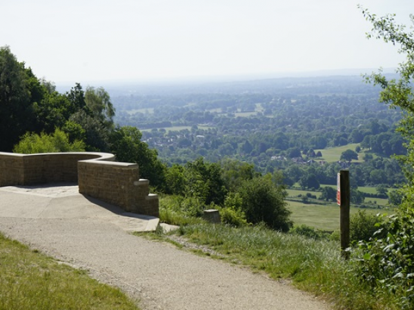 Free Guided Walk: Literary Connections of Box Hill