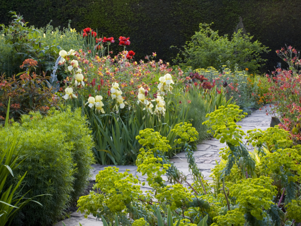 Charlotte Harris: Cultivating Beauty - the Evolution of the English Garden