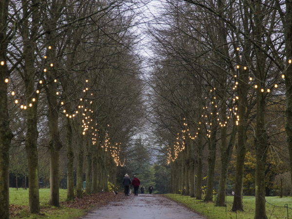 Christmas Carousel - Polesden Lacey