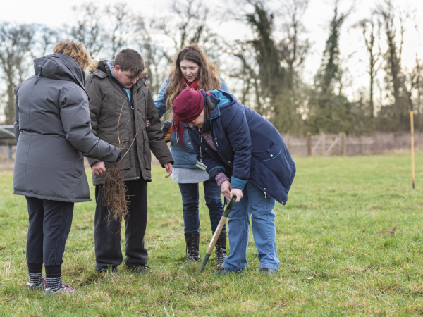 Tree planting with the Cotehele team