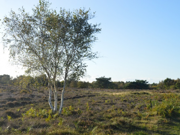 Landscape Photography workshop at Dunwich Heath and Beach