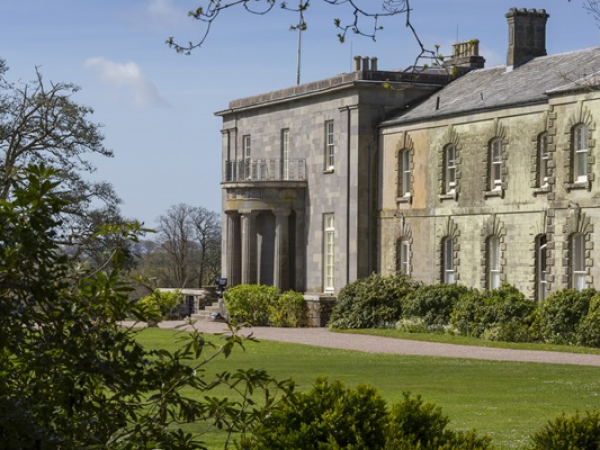 Guided wider estate walks - The folklore and history of Holly