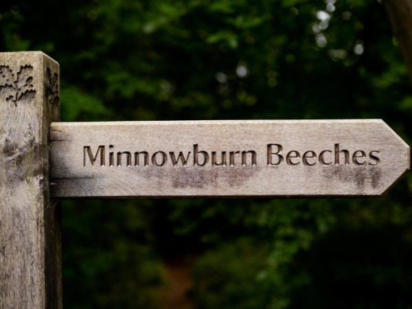 Mapping Minnowburn: Heritage, Art & Walking Tour