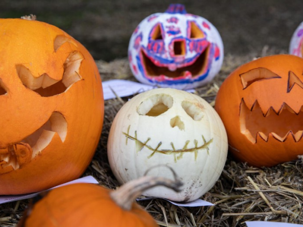 Pumpkin carving and painting
