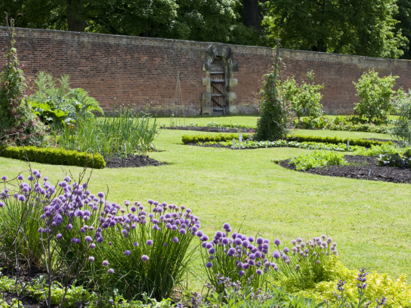 Guided tour with Gibside's Head Gardener