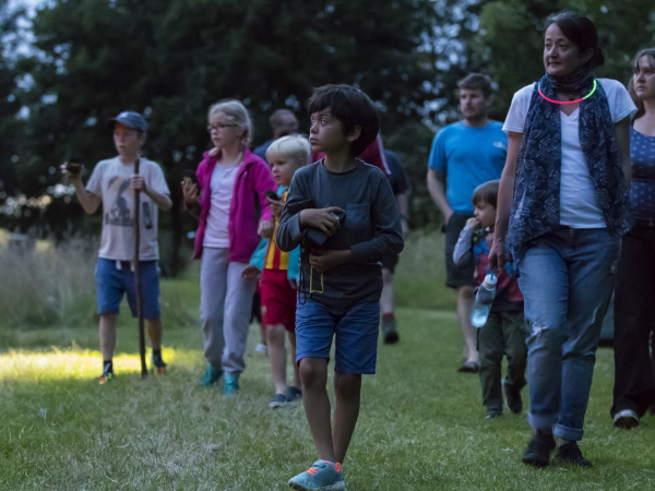 Bat Walks at Winkworth