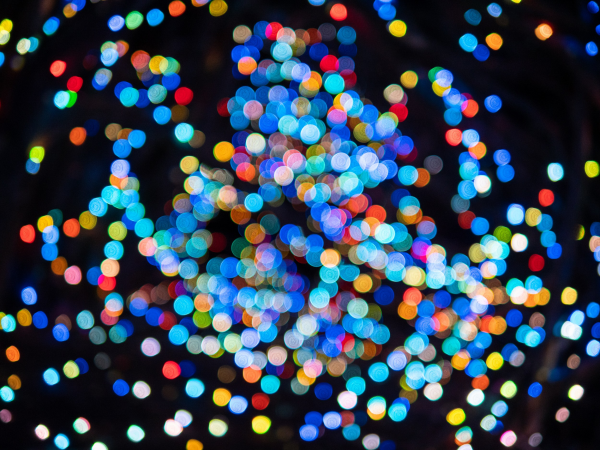 Enchanted Winter Walk at Quarry Bank