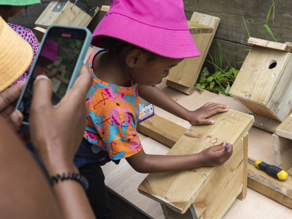 Ilam Park: Father's Day Bird Box Workshop