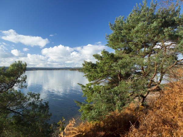 Brownsea Island Community Open Day - 4 October 2025