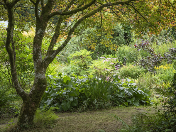 “If these woods could talk” history walks at Colby Woodland Garden
