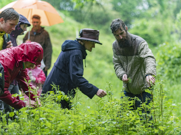 Summer Solstice Foraging with Tellus Mater