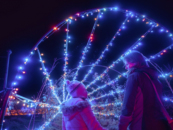 Enchanted Winter Walk at Quarry Bank