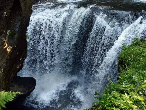 Nature's Canvas: Art workshops at Aberdulais