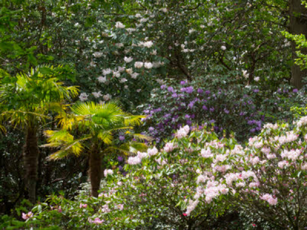 Spring Photography Workshop: Advanced Course