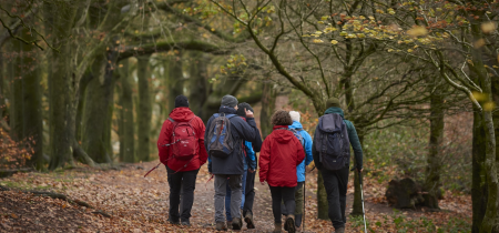 The Wider Estate Group Walk