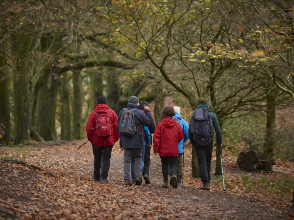 New Year's Day 'Walk it off': Wider Estate Group Walk