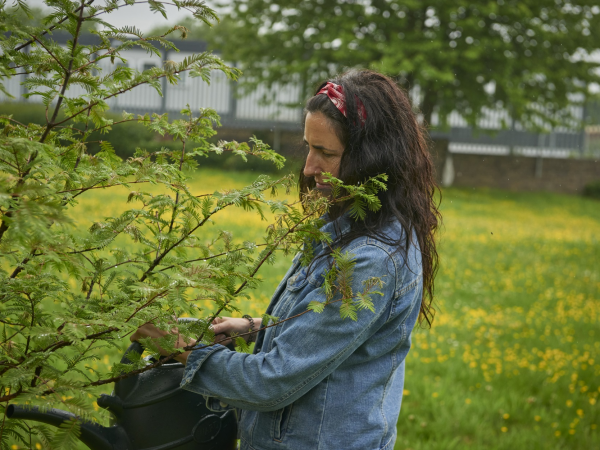 Urban Forests for All: An approach to designing and advancing fairer urban forests