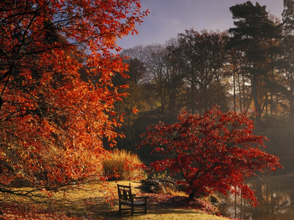 Autumn Wreath Making Workshops