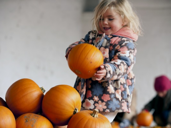 Toddler Sense Spooky Wooky Party