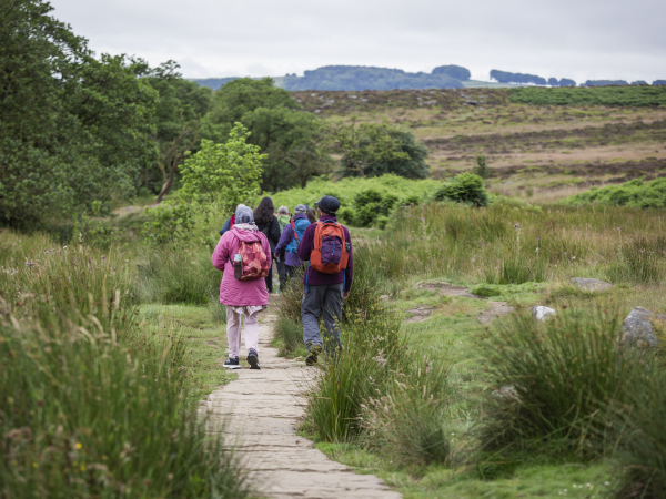 Spring: Free family activity walk