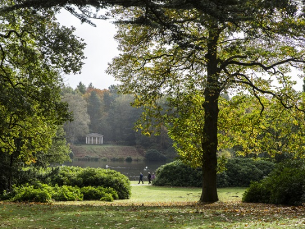 Trees & Woodlands of Clumber Park