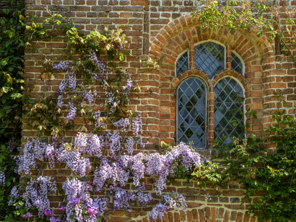 Meet the Sissinghurst Scholars