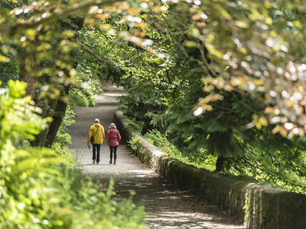 Taith Gerdded Hanes Dywysedig / Guided History Walk