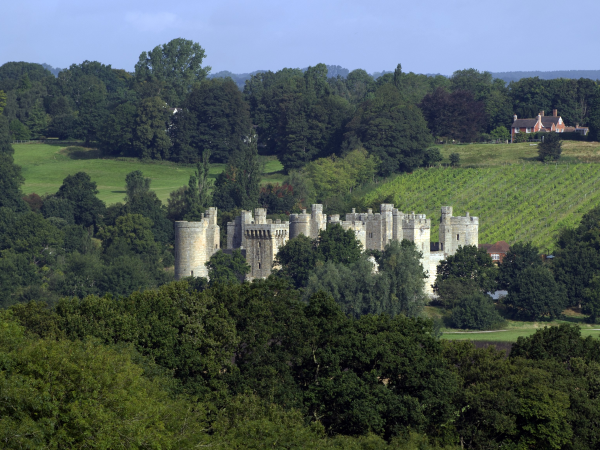 Veteran Trees at Bodiam Castle