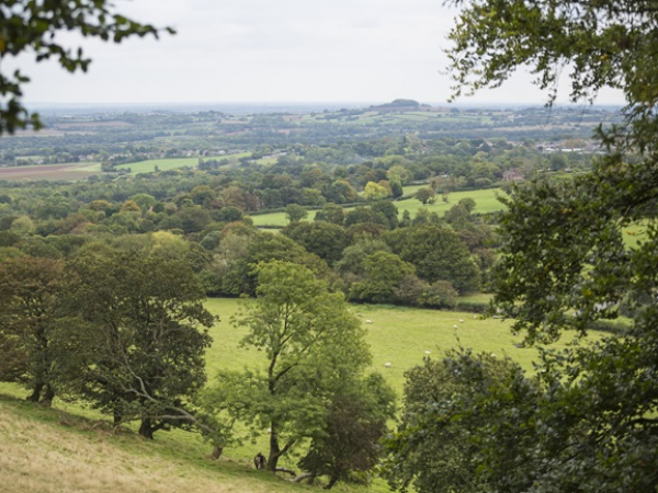 Guided Walk - Family Activity Walk