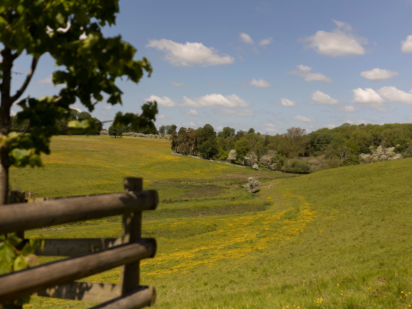 Sherborne heritage guided walk