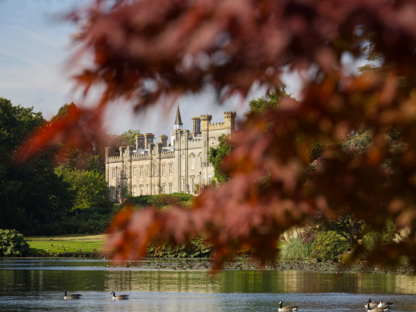 Mother's Day Linocut Workshop - Sheffield Park and Garden