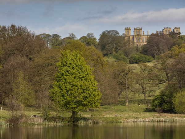 Guided by Nature: Grassland Survey Walk