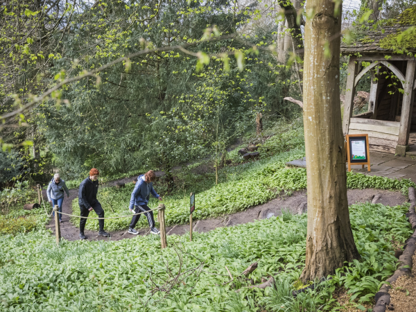 Festival of Archaeology at Prior Park, guided walks