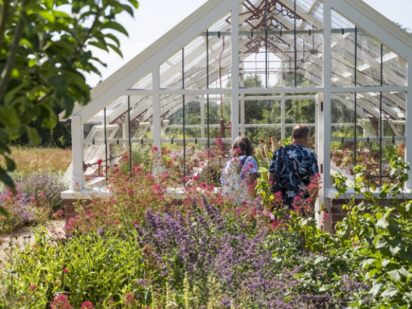 Discover houseplants workshop